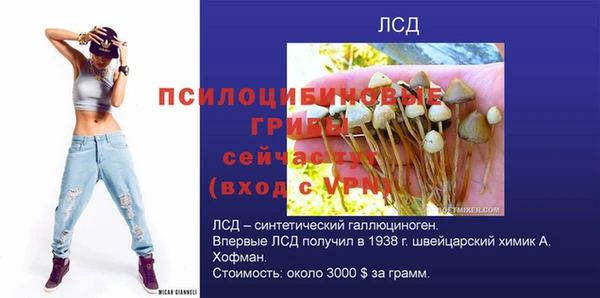 шишки Лабытнанги