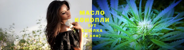 шишки Лабытнанги
