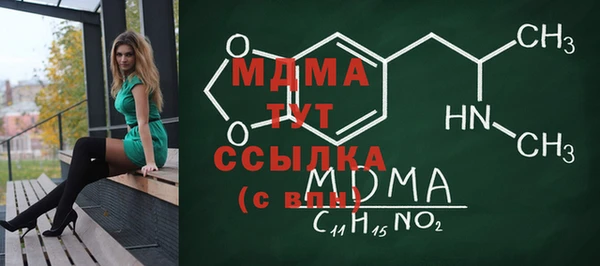 шишки Лабытнанги
