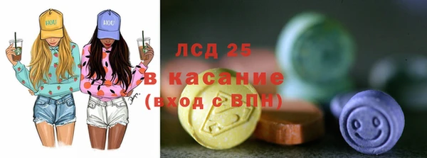 шишки Лабытнанги