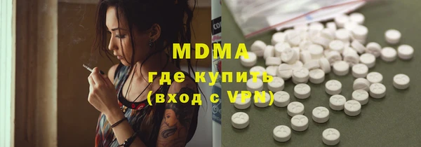 шишки Лабытнанги