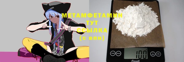 шишки Лабытнанги