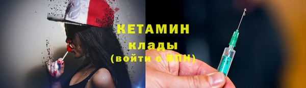шишки Лабытнанги