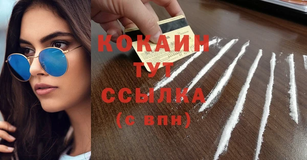 шишки Лабытнанги