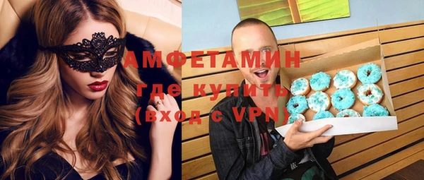 шишки Лабытнанги